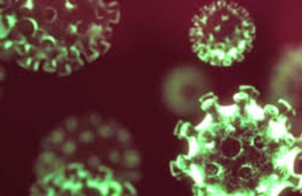 Verhalen uit een bizar jaar